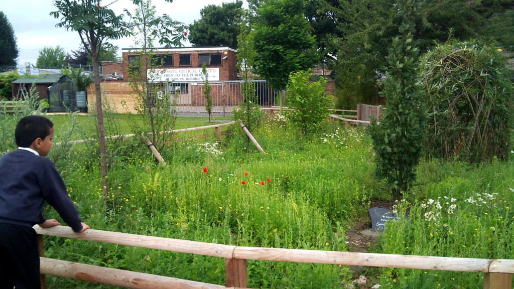 View of memorial garden and wild flowers